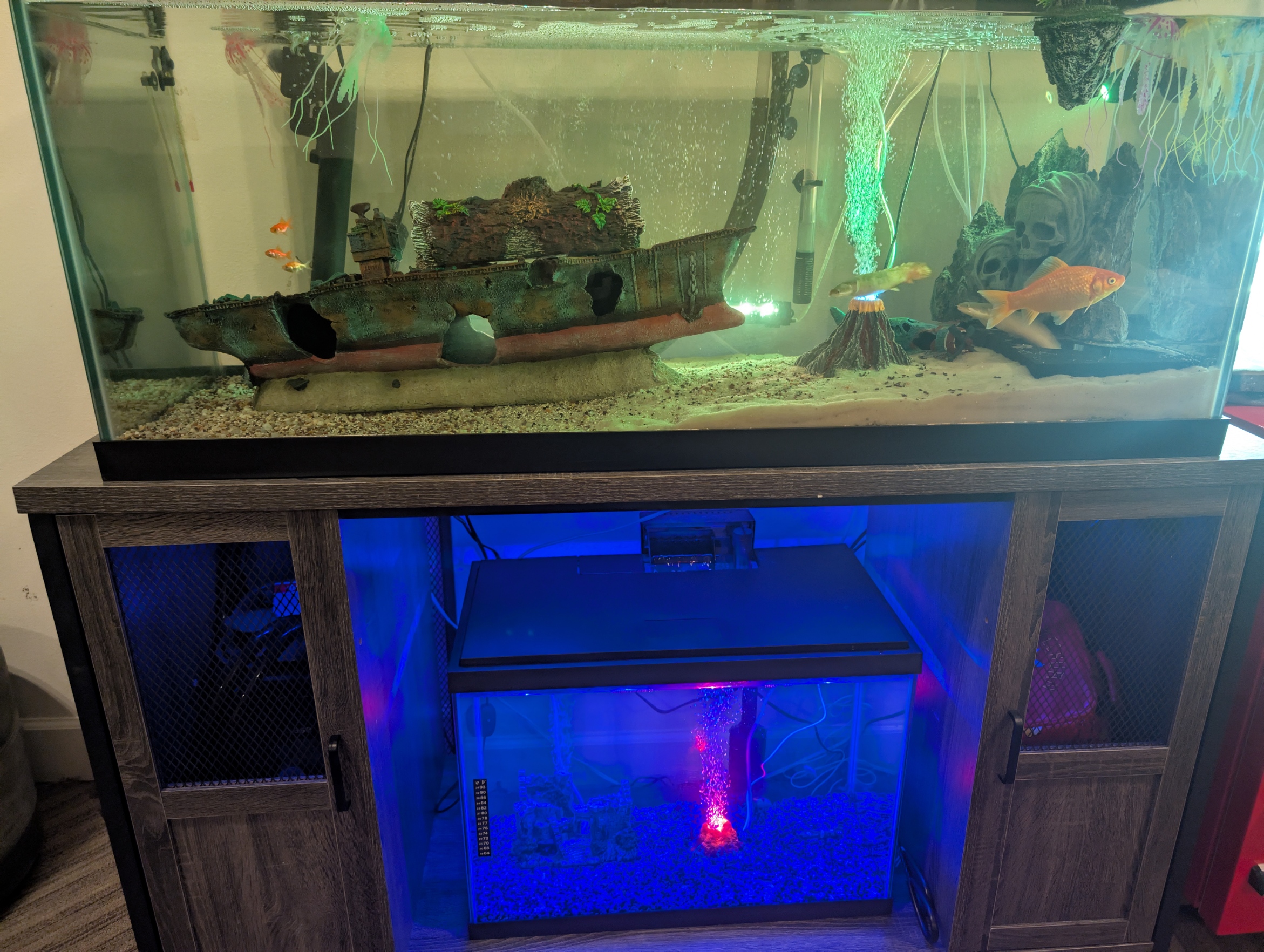 Beautiful Aquarium Background